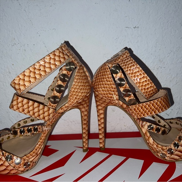 Scene - Picture 5 of 5